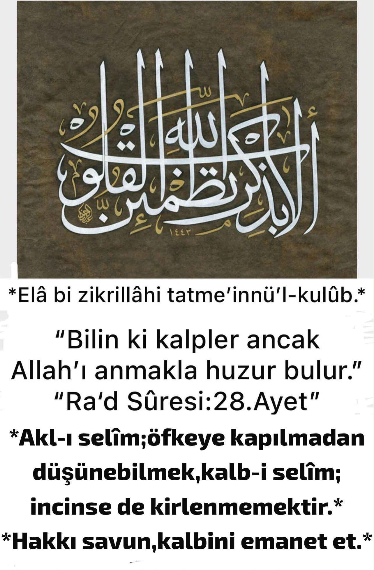 2026-08-04 tarihli yazıya eşlik eden görsel