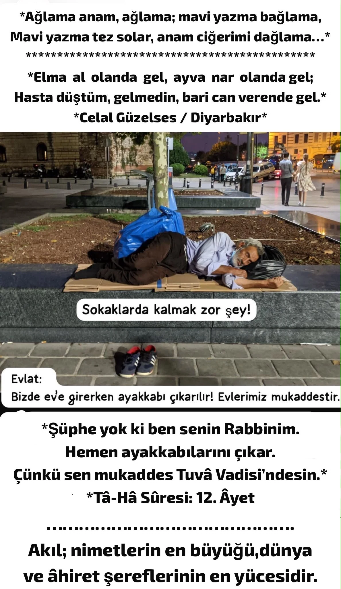2026-08-08 tarihli yazıya eşlik eden görsel