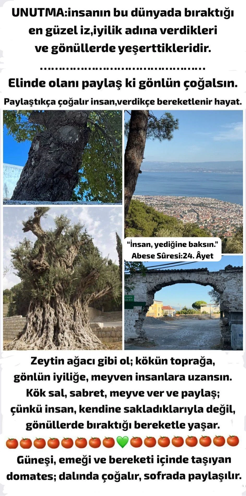2026-09-03 tarihli yazıya eşlik eden görsel