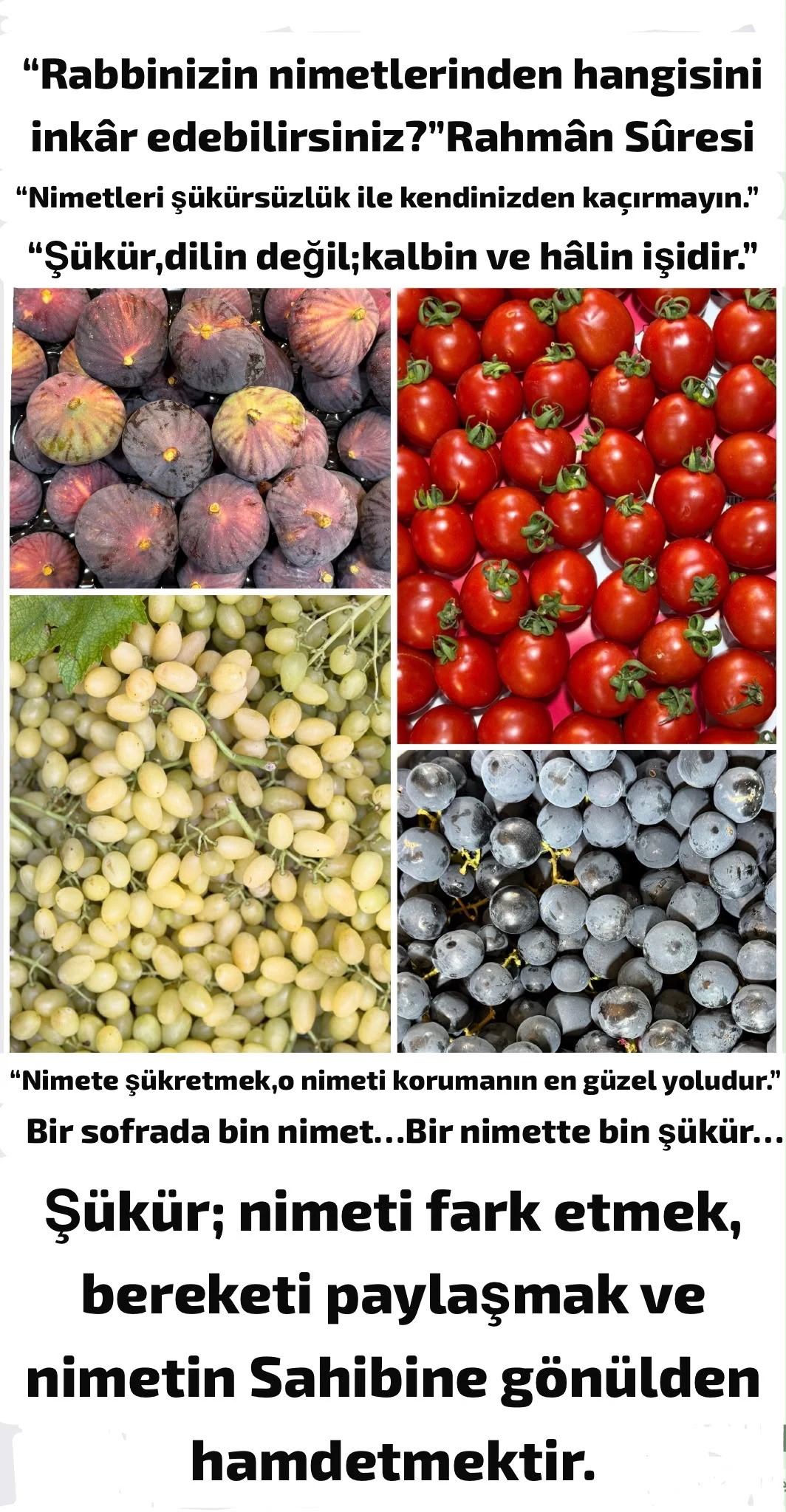 2026-09-09 tarihli yazıya eşlik eden görsel