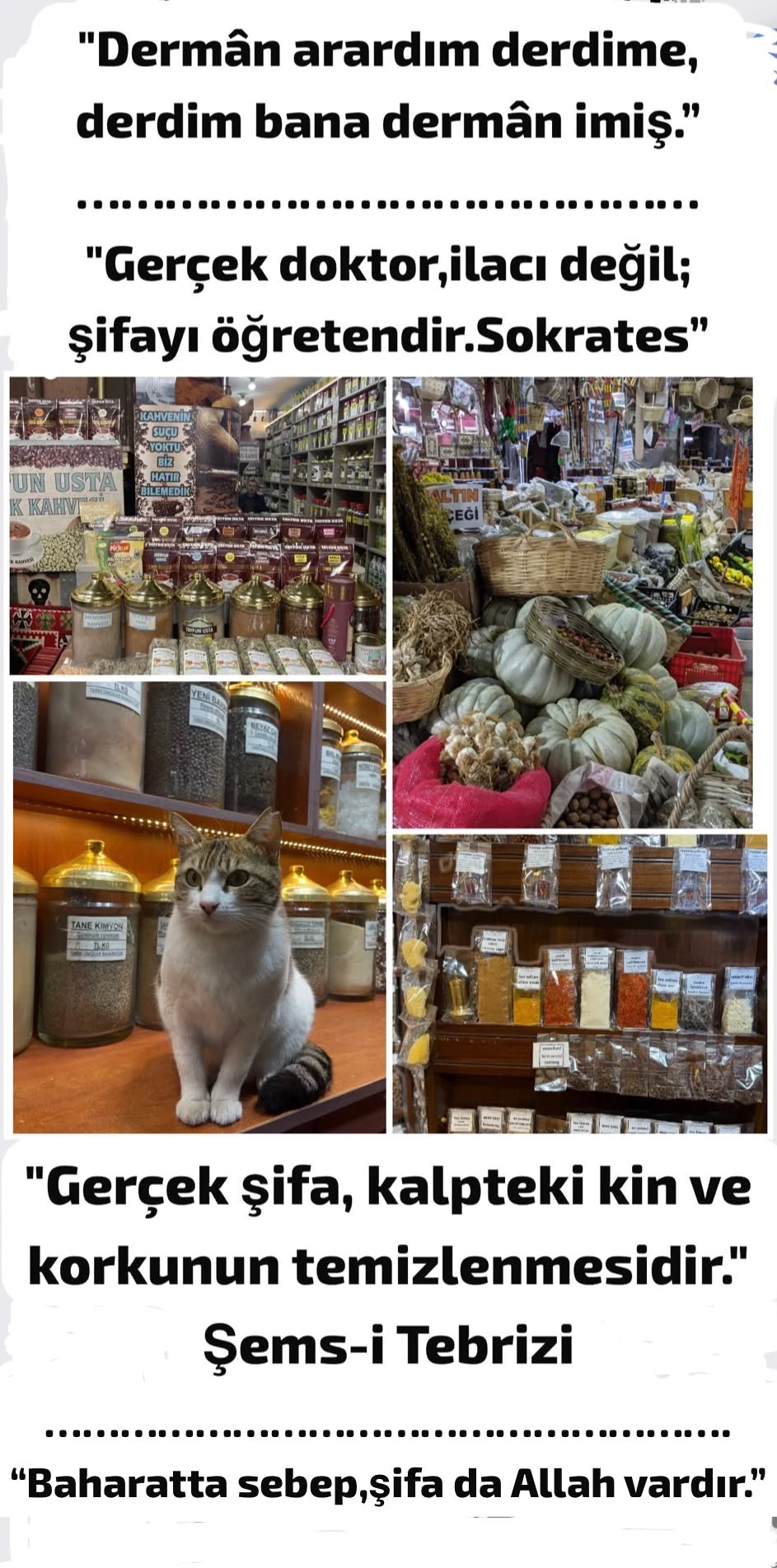 2026-09-13 tarihli yazıya eşlik eden görsel